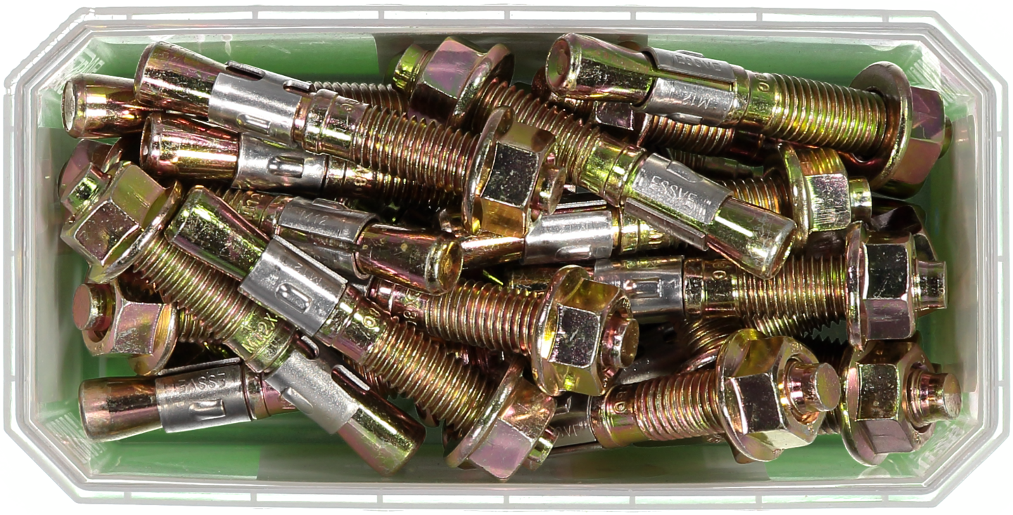 EXPANDERBULLT FZB M12X80 25ST