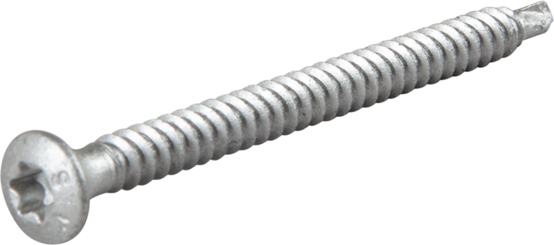 TAKSKRUV ESSVE MED BORRSPETS TX25 SILVER RUSPERT 4,8X60 500ST