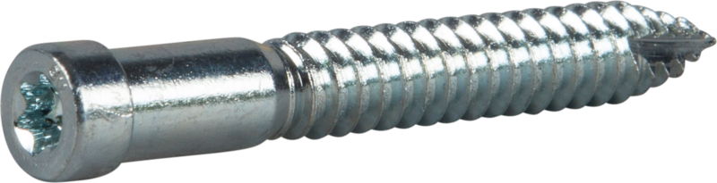 TRÄSKRUV INDU-PROG 8X58 100ST TX30 TILL KARMHYLSA