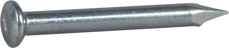 SLAGSPIK FZB 30X3.0 100ST