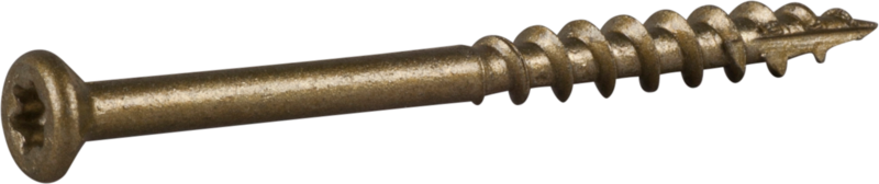 TRALLSKRUV CS 4,5X55MM 250ST TX20 TRÄREGEL