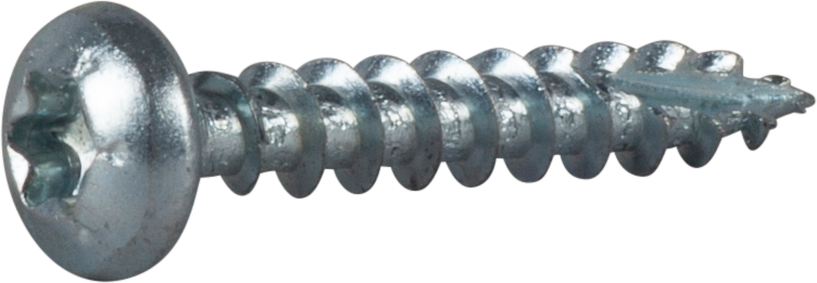 TRÄSKRUV ESSVE KULLRIGT HUVUD TX20 HELGÄNGAD FZB 4,0X25 200ST