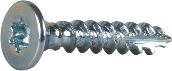 TRÄSKRUV HG FS INV 3,0X16 200 TX10