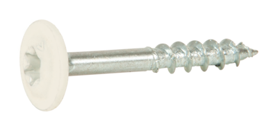 KONSTRUKTIONSSKRUV WAF 4,0X30 TX30 FZB+ VIT RAL9010 200ST