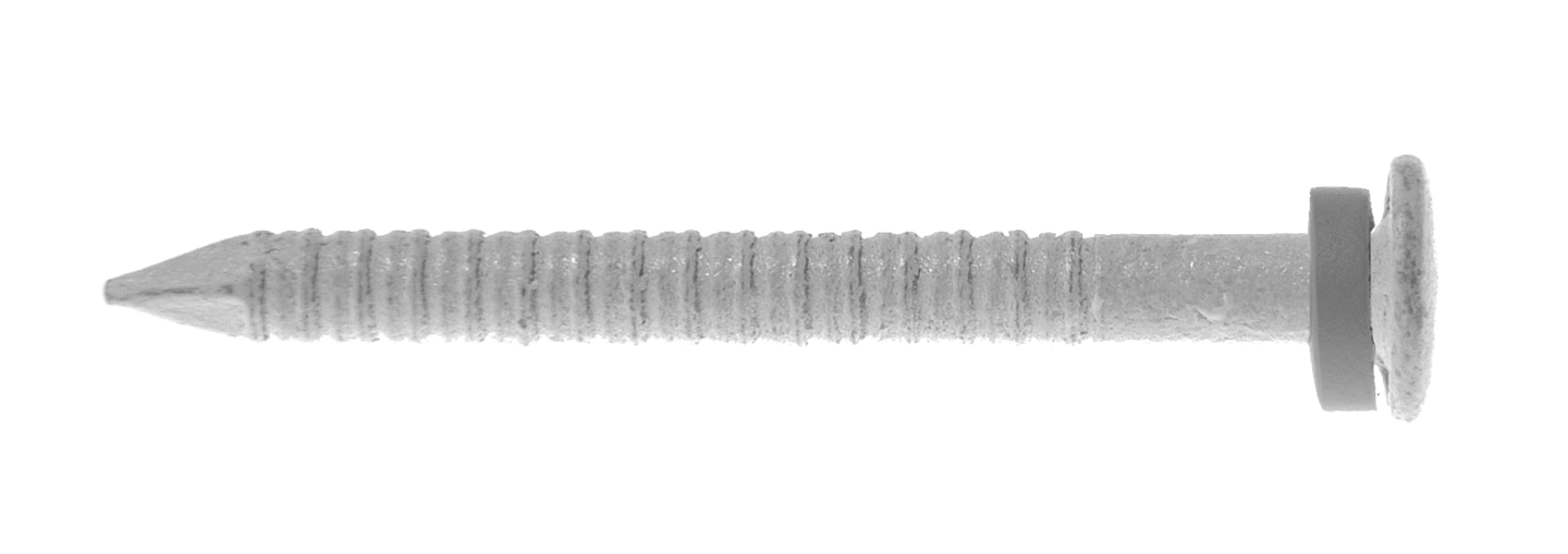 BLECKSPIK SIMPSON STRONG-TIE ELFÖRZINKAD BRICKA LÅGKULL HUV VIT 2,5X30MM 100ST