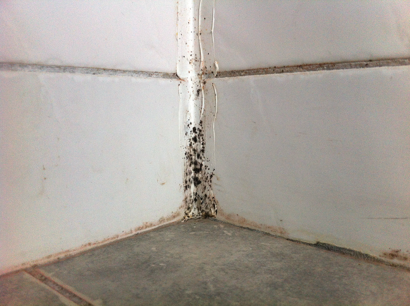 MÖGEL FRI DIREKT SPRAY 500ML