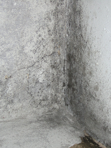 MÖGEL FRI DIREKT SPRAY 500ML