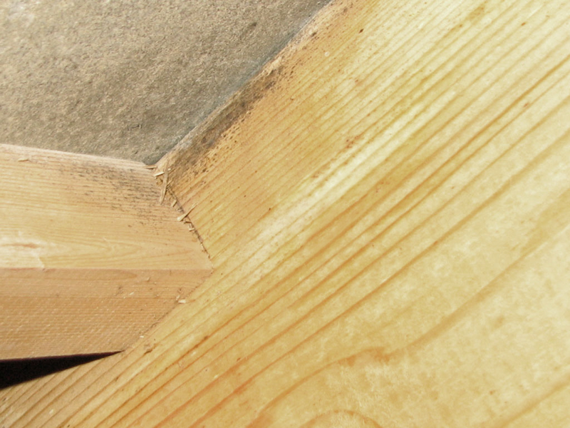 MÖGEL FRI DIREKT SPRAY 500ML