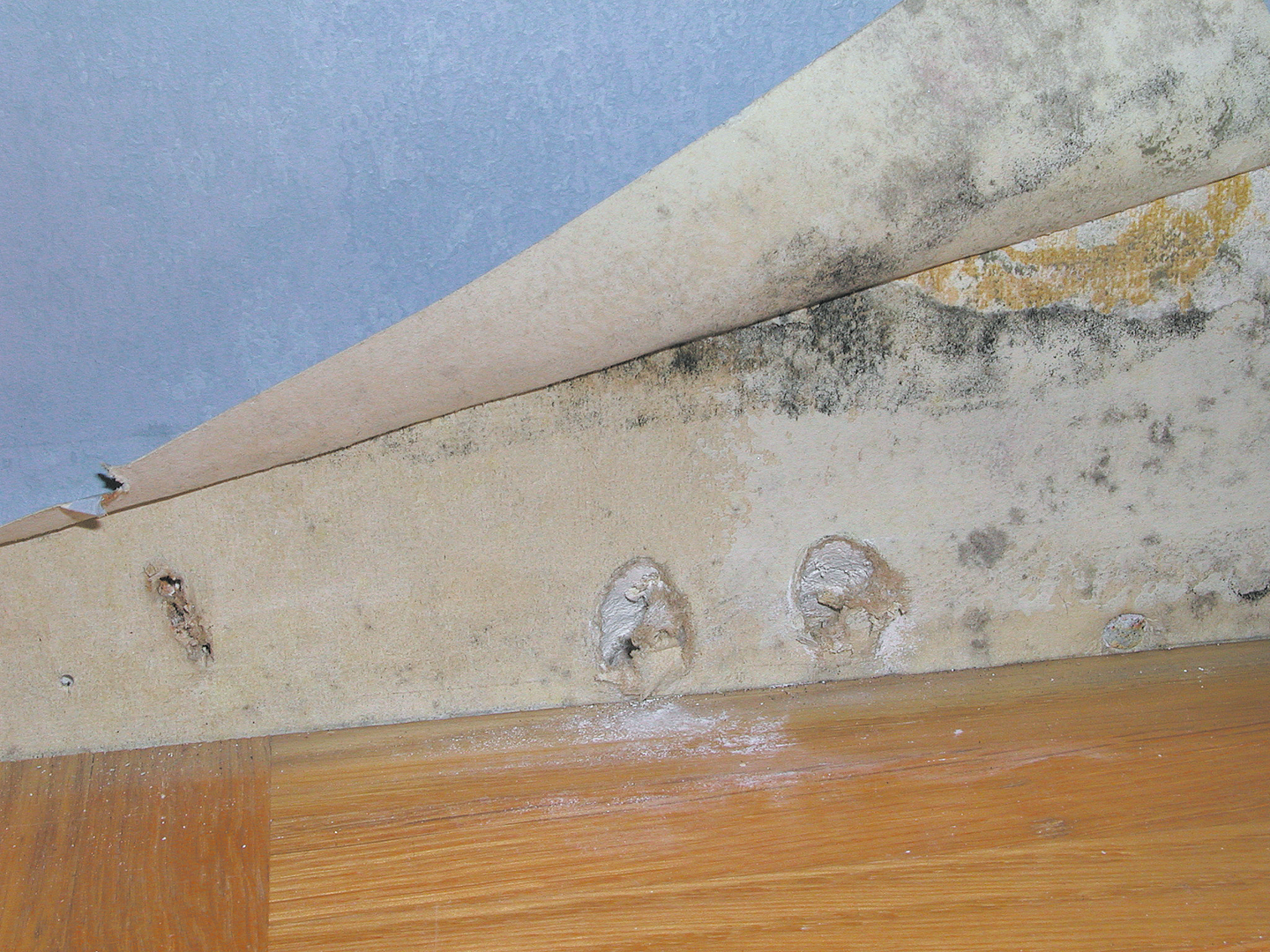 MÖGEL FRI DIREKT SPRAY 500ML