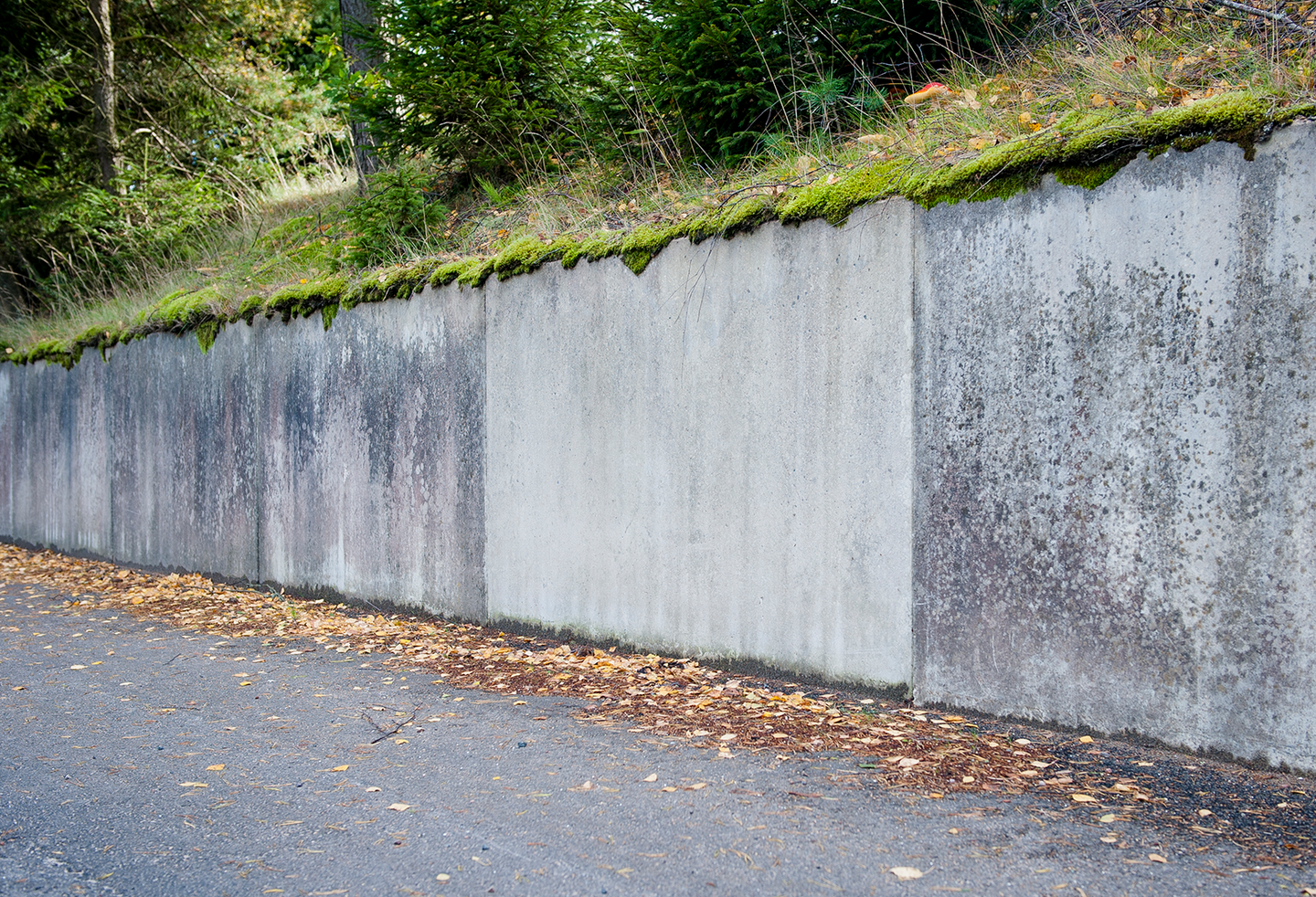 GRÖN FRI DIREKT SPRAY 500ML