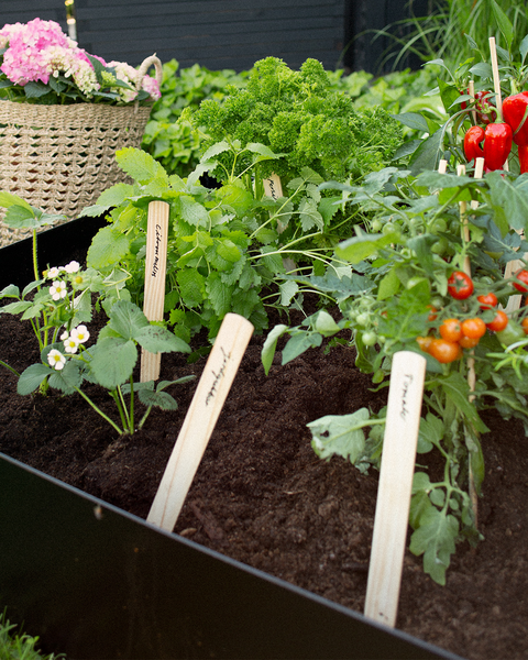 PALLKRAGE JABO ODLA SVART, 1200X800X200X1MM