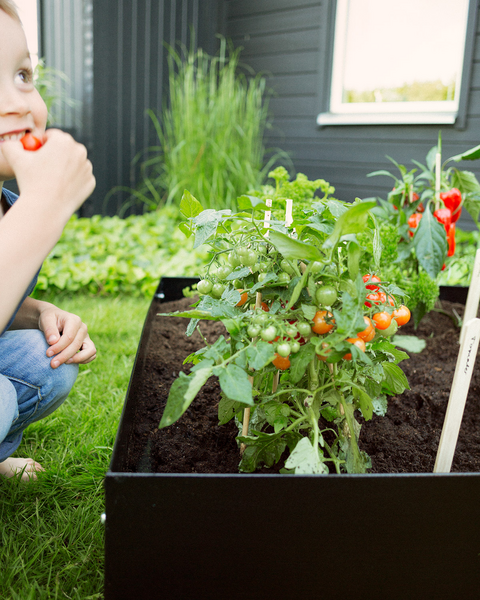 PALLKRAGE JABO ODLA SVART, 1200X800X200X1MM