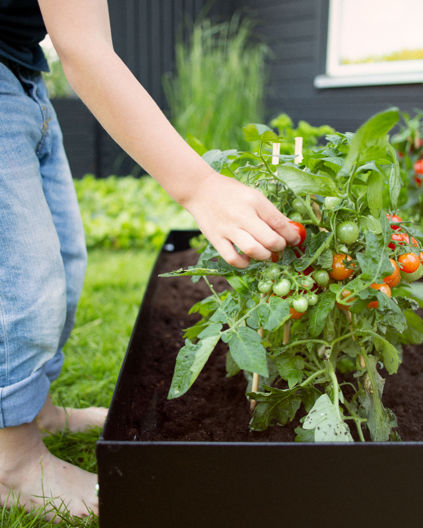 PALLKRAGE JABO ODLA SVART, 1200X800X200X1MM