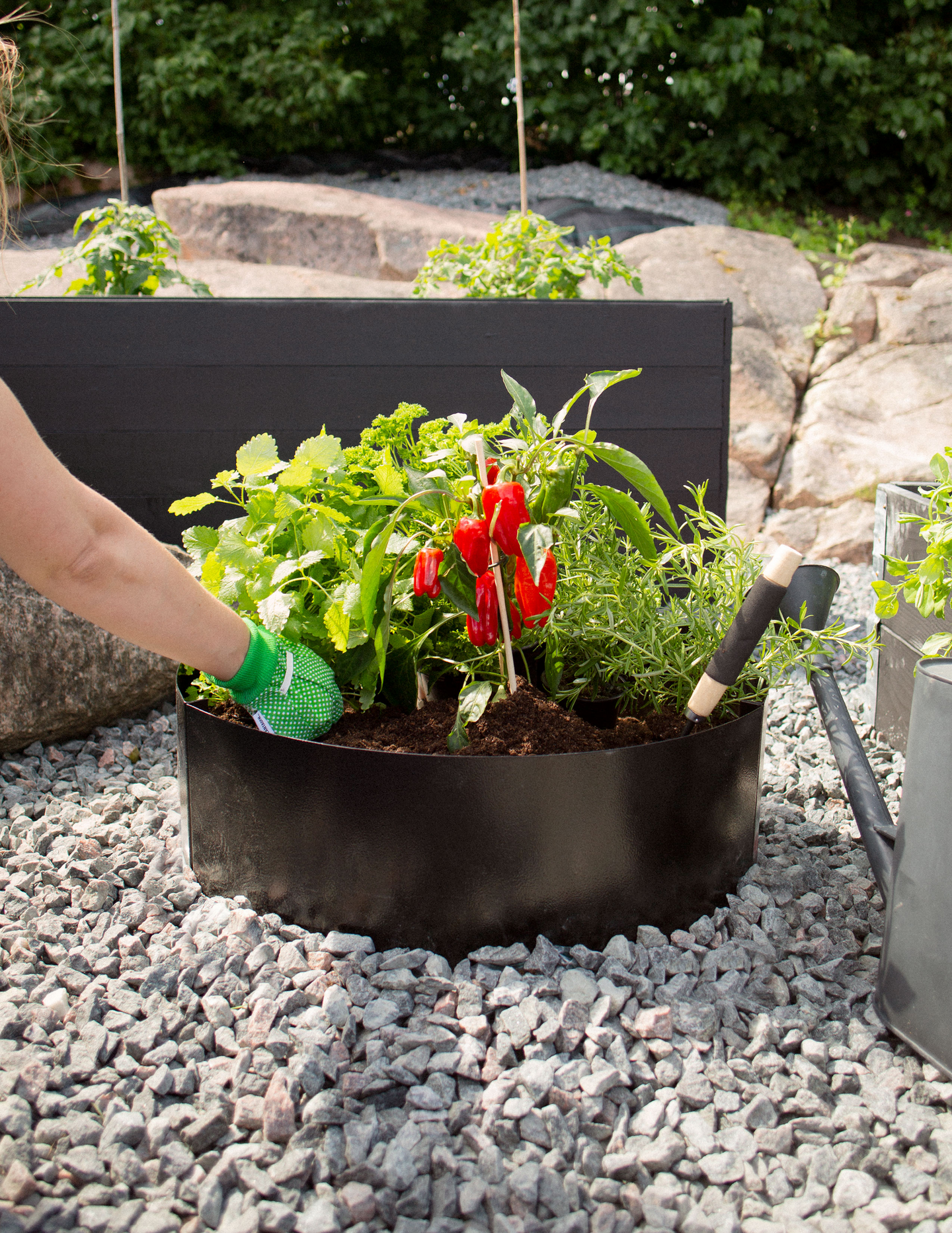 PALLKRAGE JABO ODLA RUND SVART