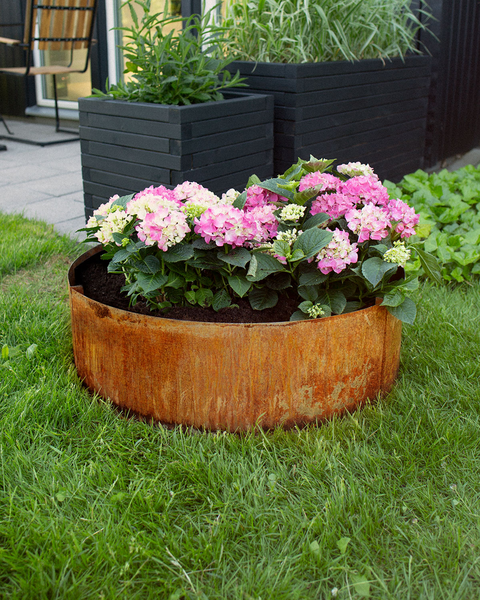 PALLKRAGE JABO ODLA RUND OBEHANDLAD