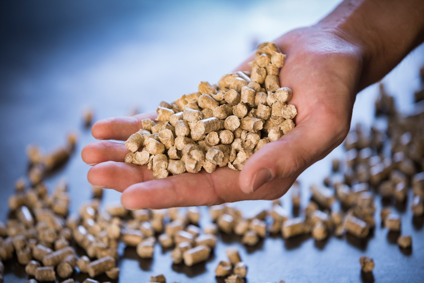 PELLETS SMÅSÄCK 8MM 16KG 52ST/PALL (SCA)