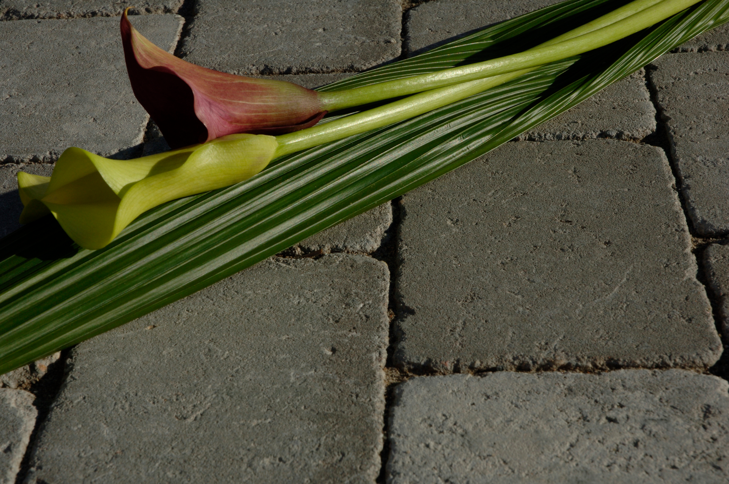 MARKSTEN 100X133X50MM NATURGRÅ RUSTIK