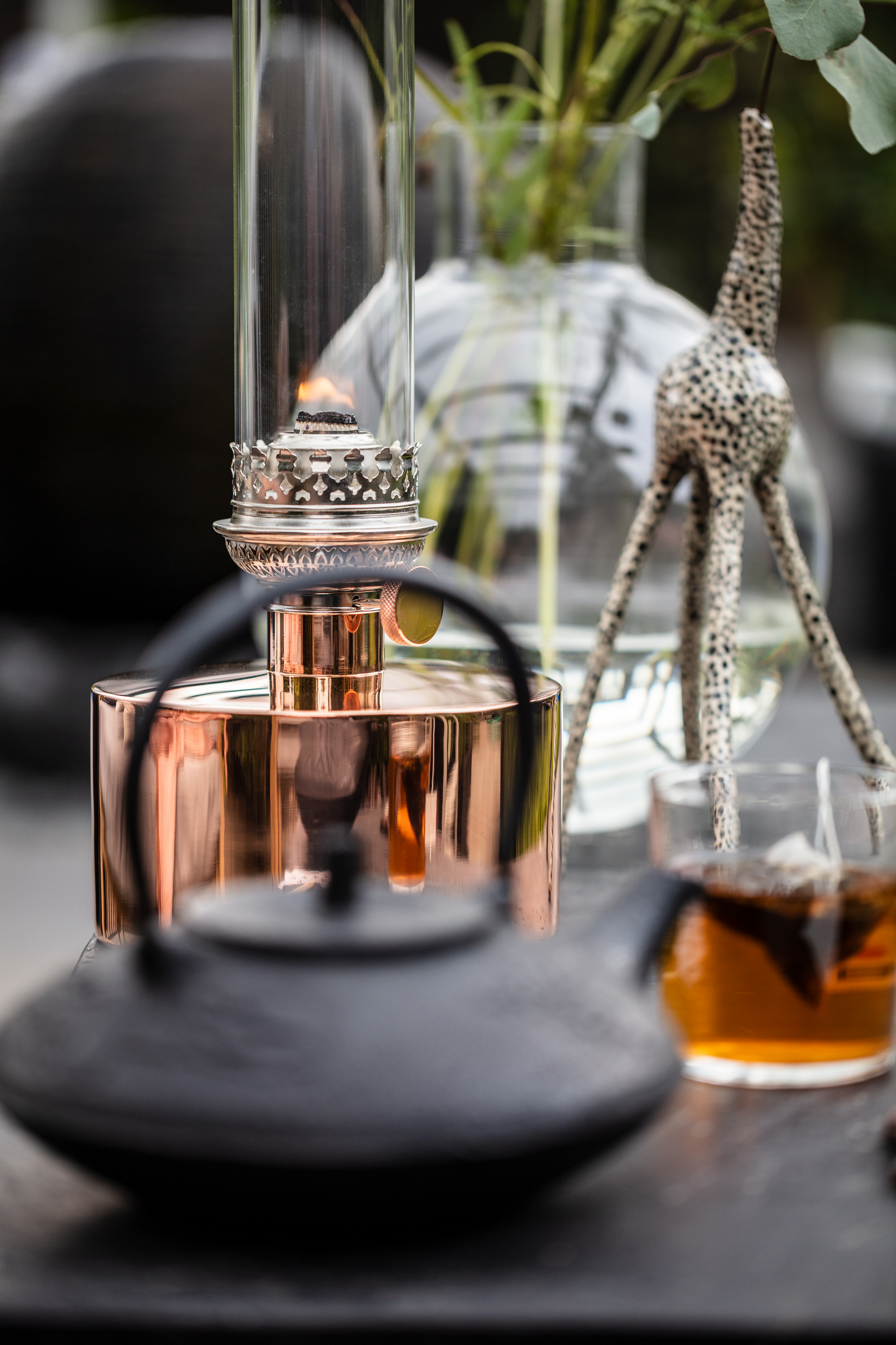 TAK PLANT SKYROOF 10MM KLAR 3000X970MM