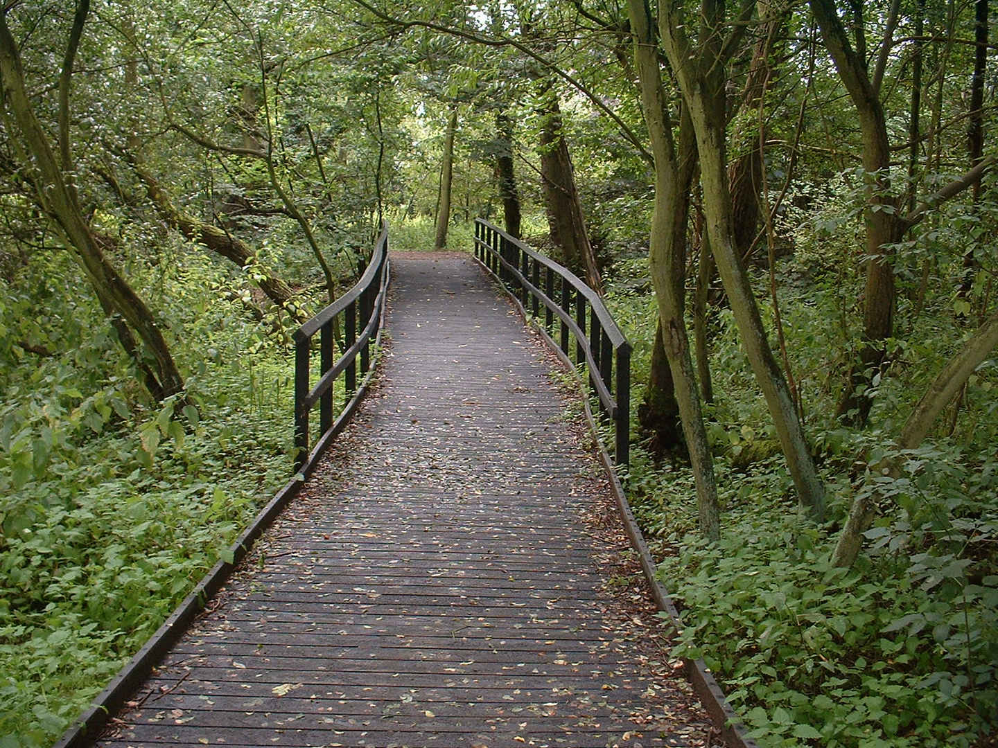 PLASTPLANK GOP MULTIPLANK REG SPONTAD SVART 3000X140X24MM