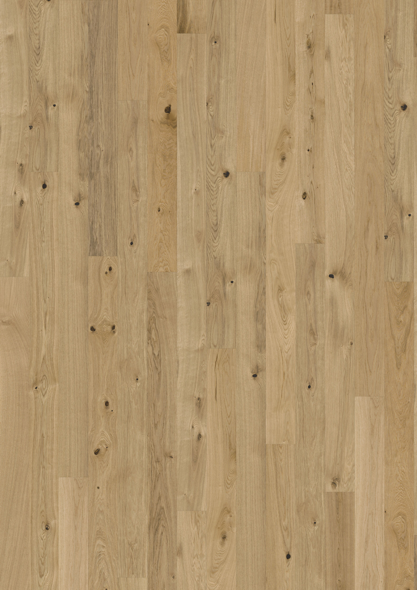 Parketti Kährs Tammi Pure 1S 2420x151x15mm
