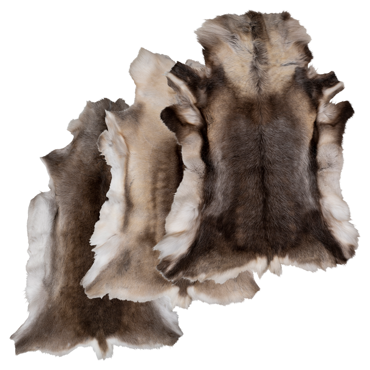 VIDDA POLAR - REINSKINN