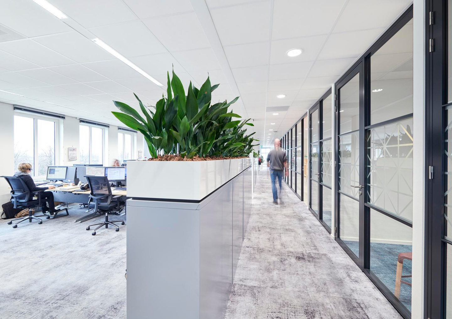 AKUSTIKTAK ECOPHON GEDINA A 60X60 VIT VIT NE 15MM T24 14,4M²