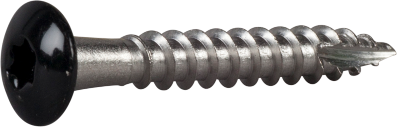 RÄNNKROKSKRUV ESSVE ROSTFRI A2 SVART RAL9011 TX20 4,8X35 20ST UTG