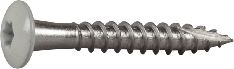 RÄNNKROKSKRUV ESSVE ROSTFRI A2 VIT RAL9010 TX20 4,8X35 20ST UTG