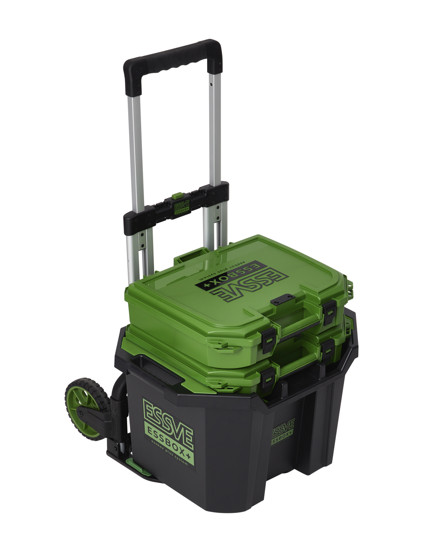 BACK 50L ESSBOX+ STORE IT