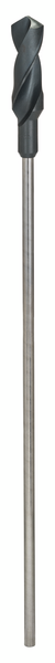 Asennusporanterä Bosch PRO Wood HSS 30x100x600mm