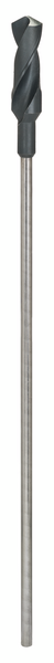 Asennusporanterä Bosch PRO Wood HSS 28x100x600mm