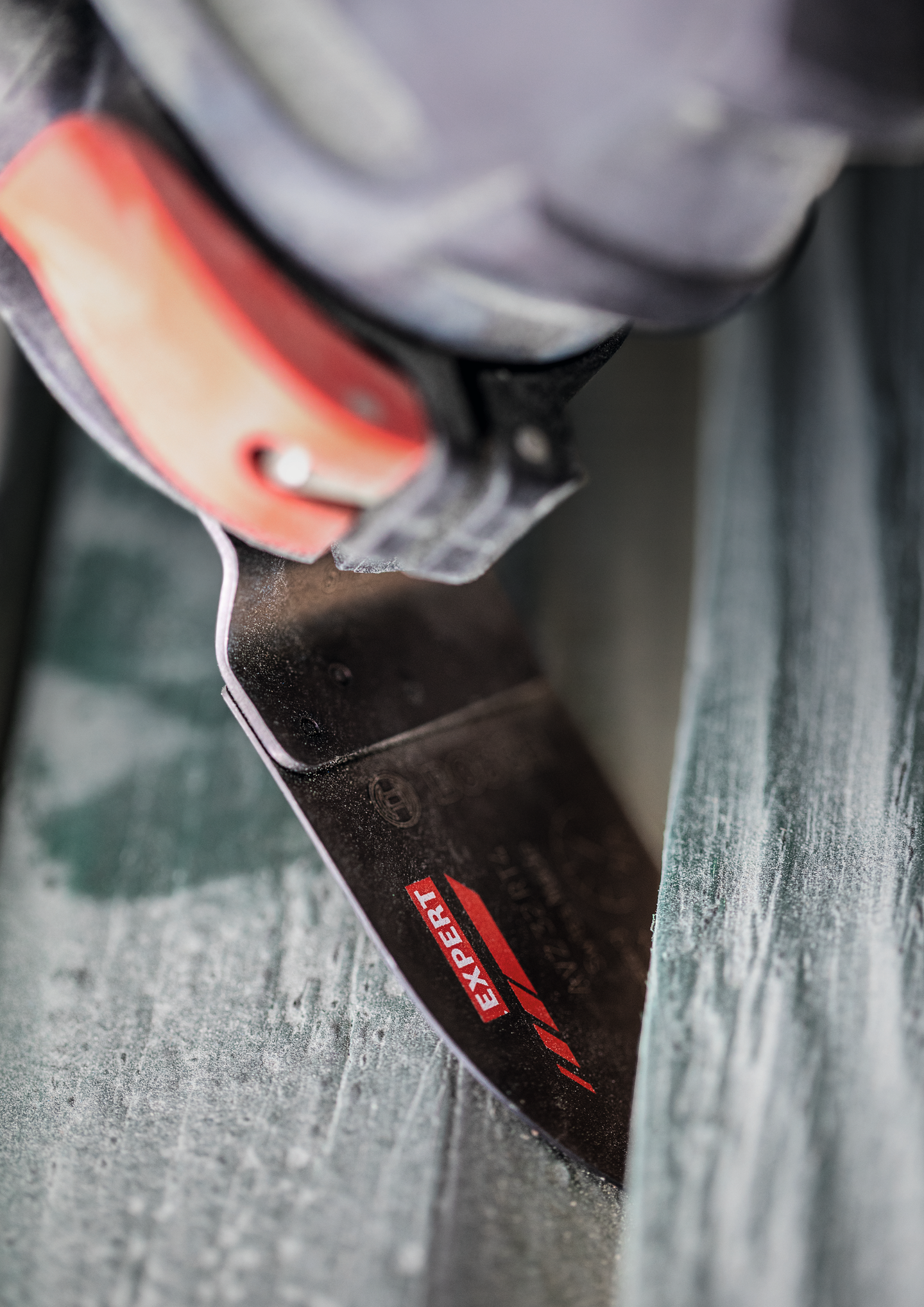 Hiomalevy monitoimityökalulle Bosch EXPERT Sanding AVZ 32 RT4, karkea, 32 x 50mm