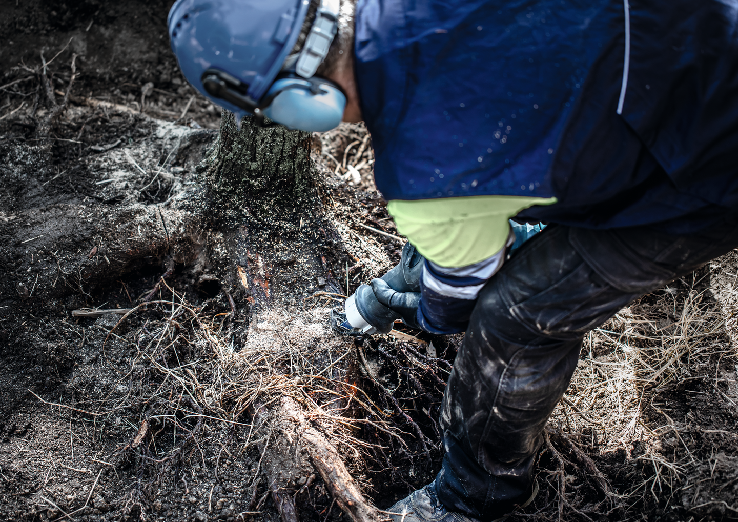 Puukkosahanterä Bosch EXPERT 'Tough Wood' S 1142 KHM, 10 kpl