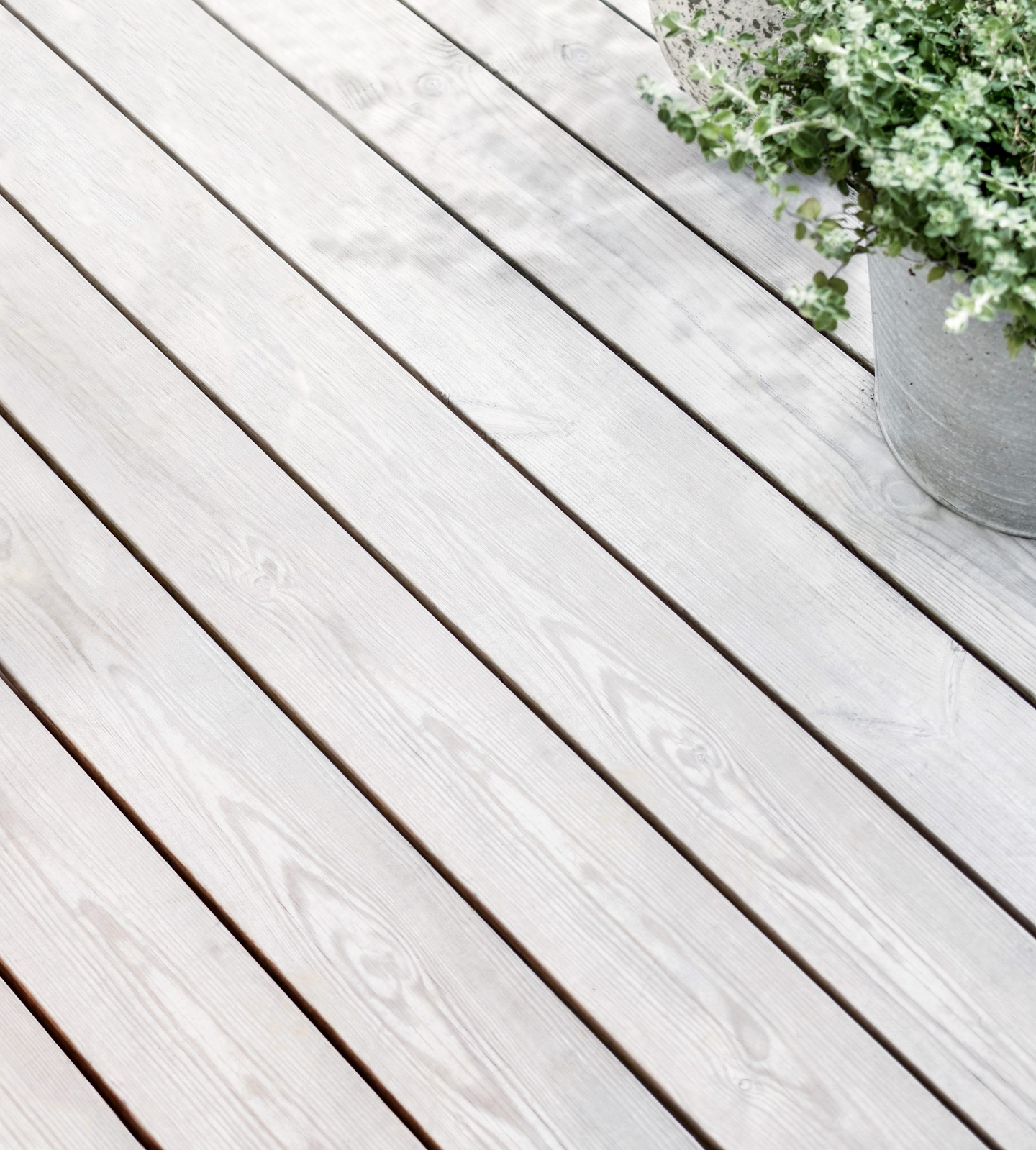 TRALL ORGANOWOOD 22X95X4500 NOWA