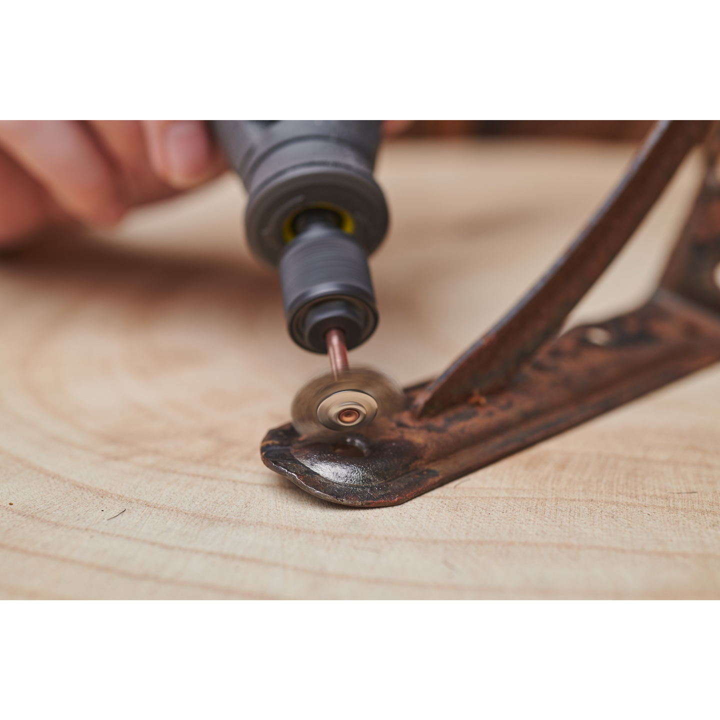 Hiiliteräsharja Ryobi 2kpl