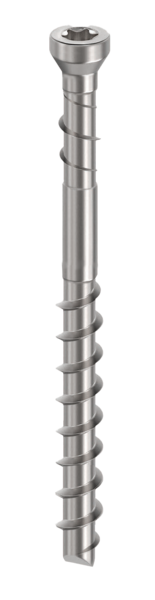 TRALLSKRUV CAMO RF 60X4,2 48 304SS A2 350ST