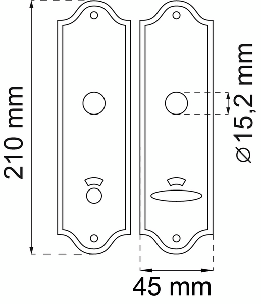 WC-BESLAG HABO 210X45MM MÄSSING 54, LÅNGSKYLT POLERAD 683/689