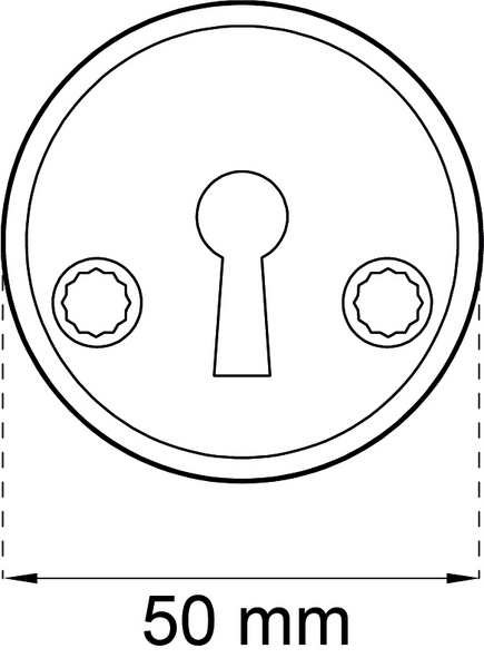 NYCKELSKYLT 2991 NICKEL