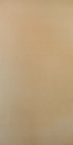 BYGGSKIVA BASIC RECOMA PACKWAL 11X2500X900 2,25M2