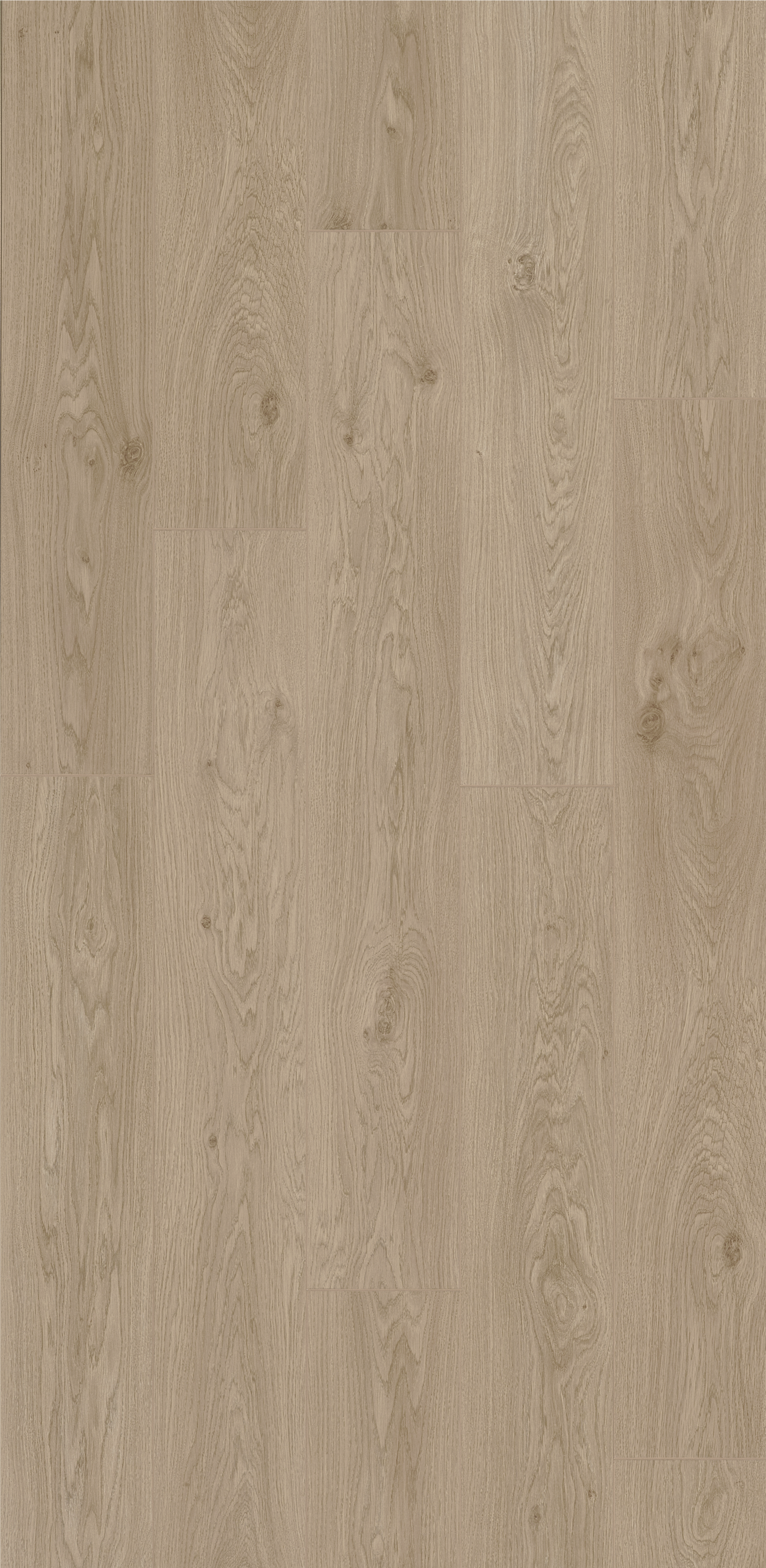 Laminatgulv 1-stav Trendline 8 XL Lily Oak - BerryAlloc