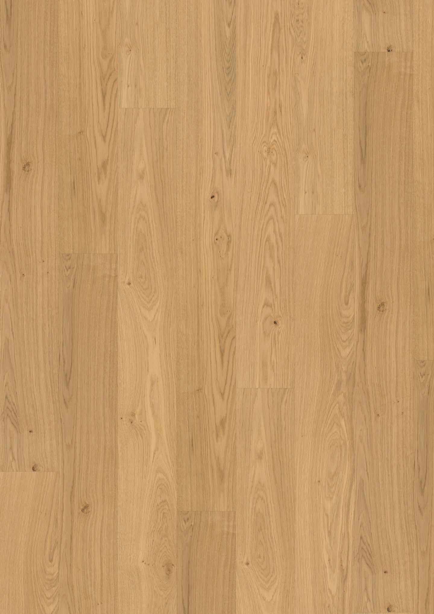 TREGULV MAXWOOD XL EIK NATUR
