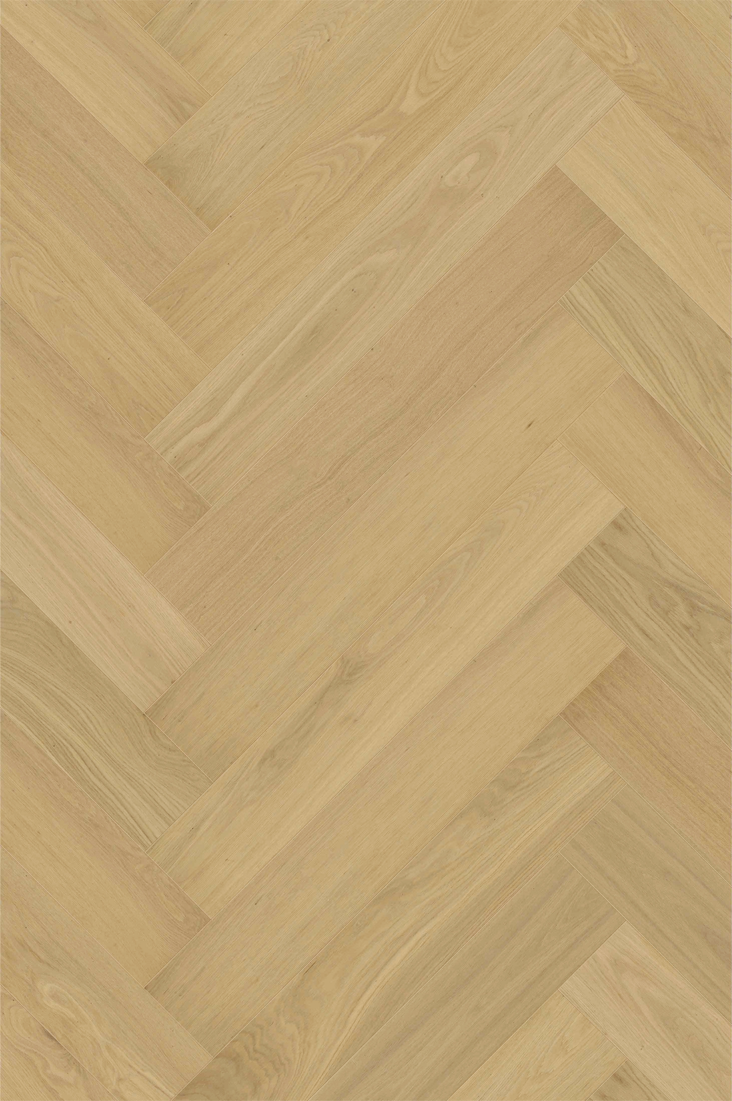 TREGULV FISKEBEIN ASTA  LYS