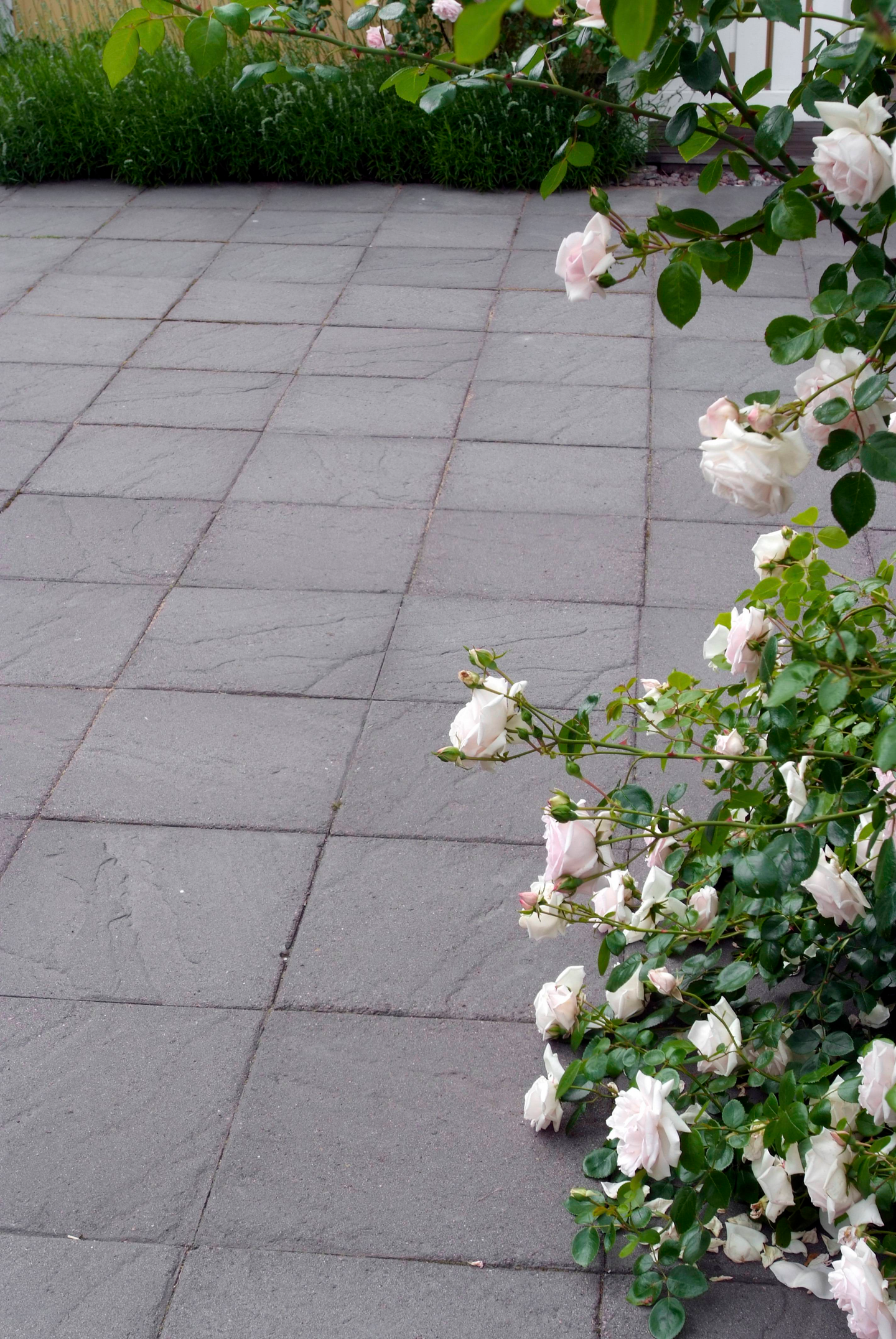 GÅNGPLATTA STRUCTURA LAVA 40X40X4