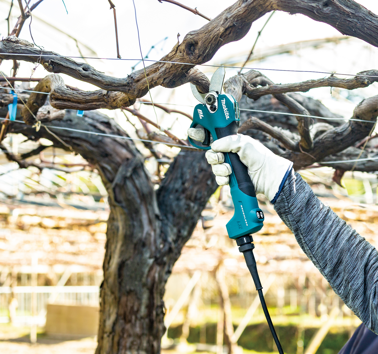 Oksasakset Makita DUP180Z 18V LXT runko