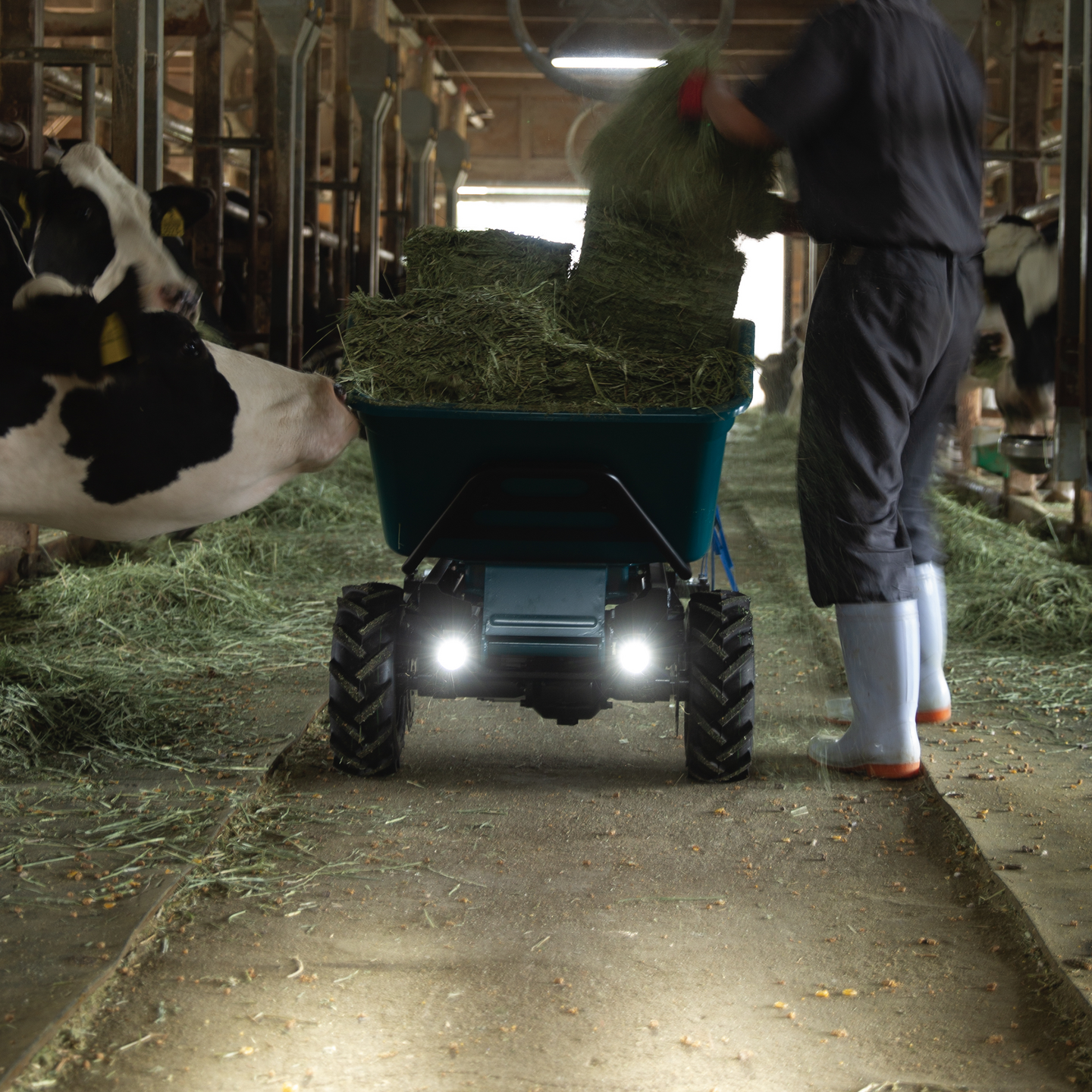 Kottikärry Makita DCU605Z 2x18V LXT