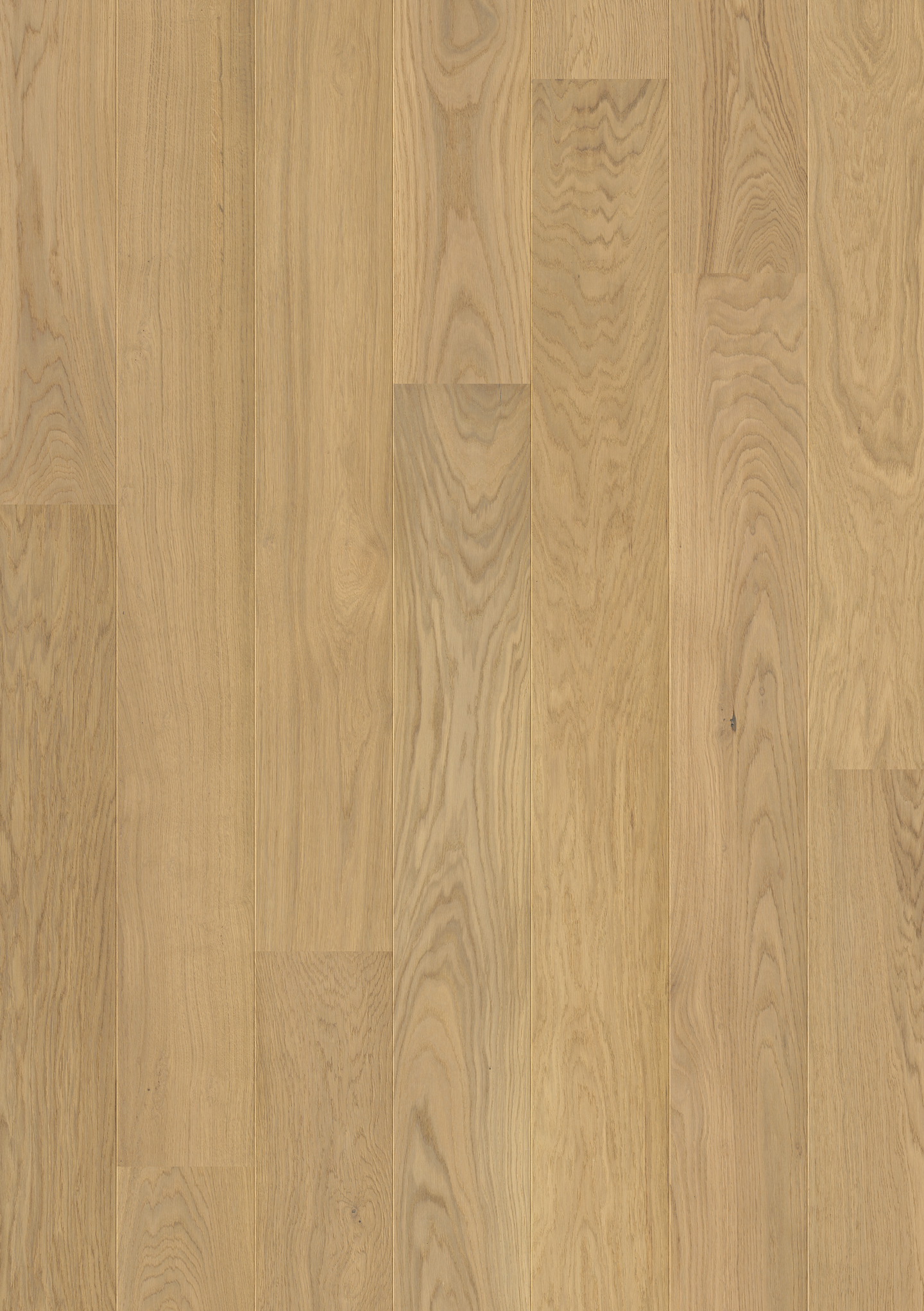 Parkett 1-stav Light Pure Oak - Pergo Wood