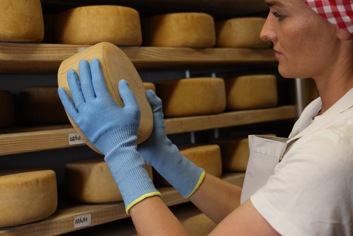 Viiltosuojakäsineet TEGERA 913