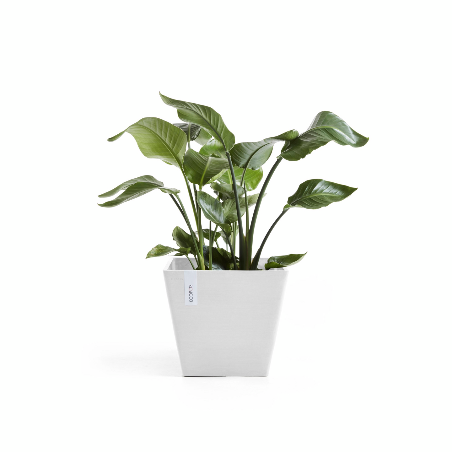 Ruukku Ecopots Rotterdam 40cm valkoinen
