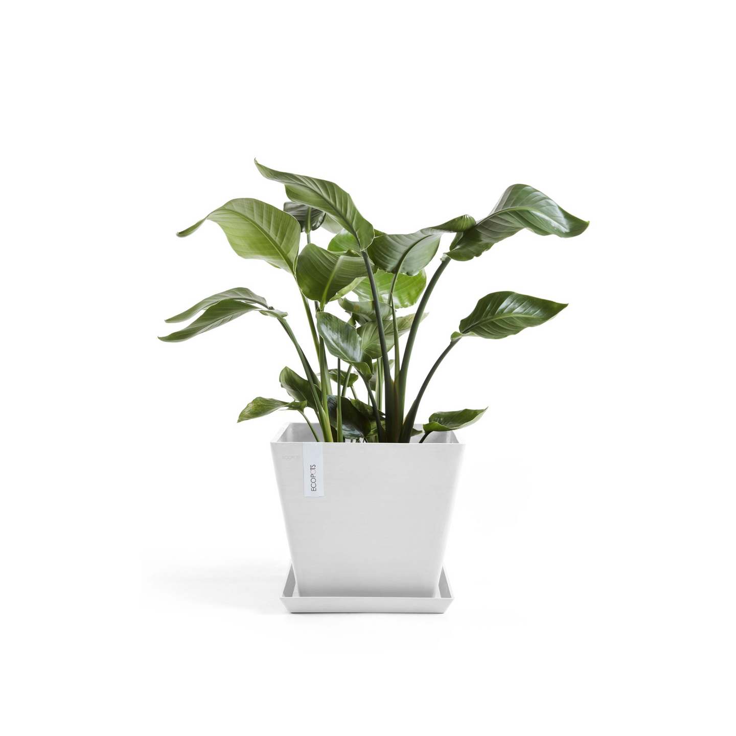 Ruukku Ecopots Rotterdam 40cm valkoinen