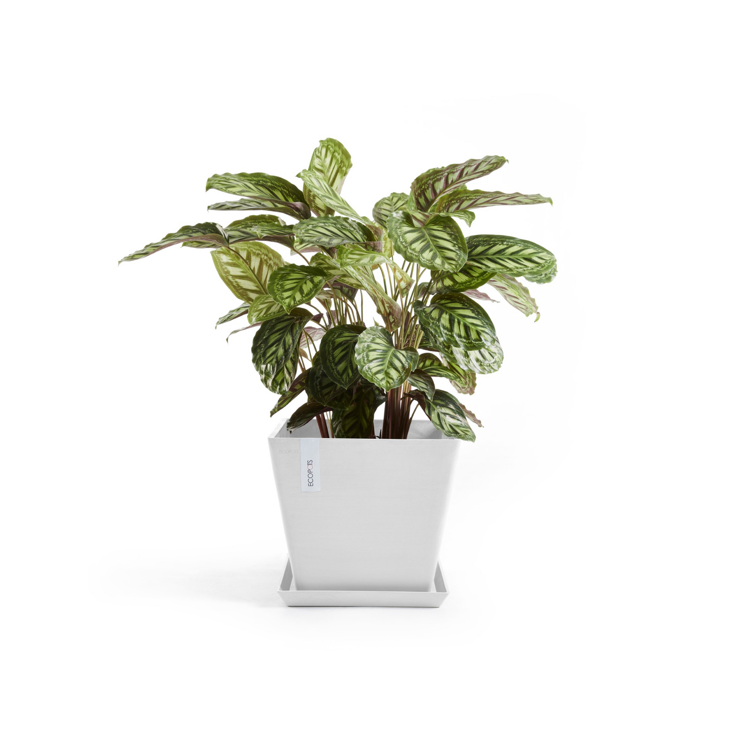 Ruukku Ecopots Rotterdam 40cm valkoinen